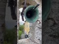 Campana di ponte in valtellina so san francesco saverio