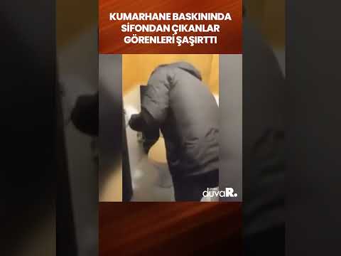 Pinco-Casino'da Gerçek Zamanlı Oyun Deneyimi: Çevrimiçi Kumarhane Sitesi