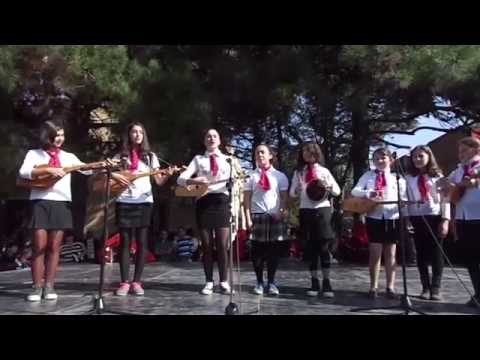 ანსამბლი - სიმები