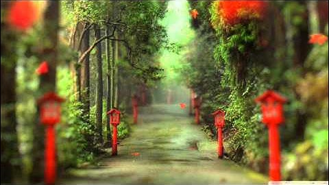 #جمعان_العصيمي | سورة | غافر