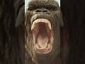 Kong’s roar is made up of what?! 😱#kongskullisland #godzillavskong #godzillaxkongthenewempire