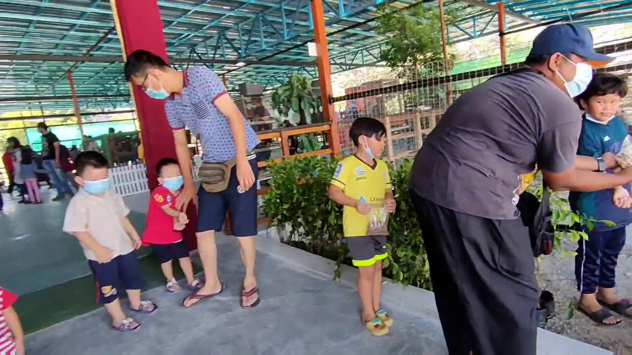 Pavilion Petting Zoo Gunung Lang Youtube