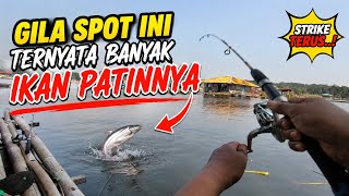 Gila‼️Spot Ini Ternyata Banyak Ikan Patinnya, Strike Berkali-kali⁉️Mancing Cirata Terbaru Patin Liar