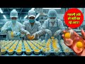 नकली अंडा कैसे बनाया जा रहा है धड़ल्ले से कहीं आप तो नही | Shocking Fake Egg Making Process Exposed!