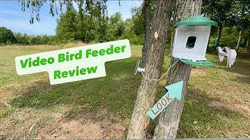 HARYMOR Bird Feeder With Camera And Solar Panels Initial Review