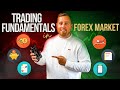 How fundamentals affect forex trading