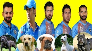 Top 15 Indian Cricketers With Their Dogs