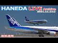 ①羽田空港 ライブカメラ 2021/11/11 Live from TOKYO HANEDA Airport  Plane Spotting 飛行機 離着陸