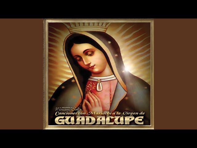 La Guadalupana class=