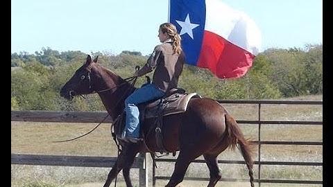 Heavens Moonshine     ***For info, price, etc., go to our website*** Valley View Ranch