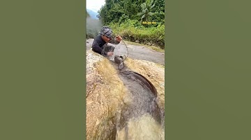 Cá Lớn - hứng vợt bắt cá Trê Khủng xuôi dòng 😱 #khacthuyvlogg