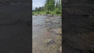 Mississippi Headwaters 🌲🩷 #midwest #camping #travel #MN