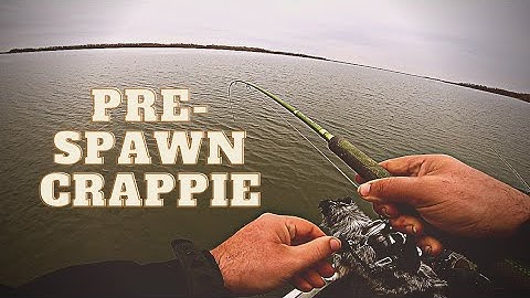 How we found pre-spawn #crappie in South, TX!