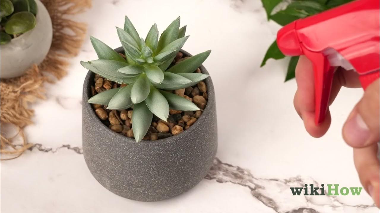 How to Clean Fake Plants YouTube