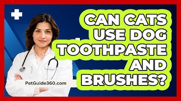 Can Cats Use Dog Toothpaste and Brushes?