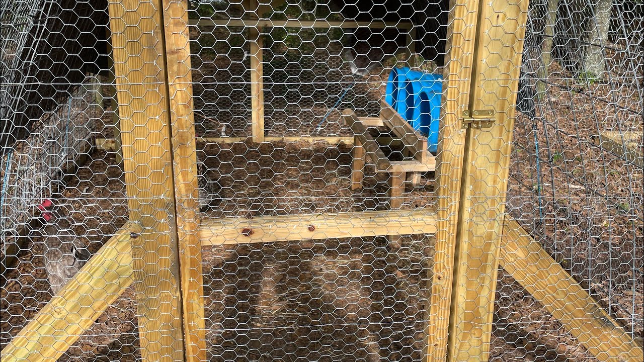 Can I Submit My Dot Physical Online Can I Submit My Dot Physical Online