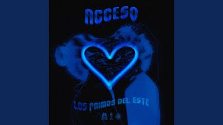Video thumbnail of "Los Primos del Este - Acceso"