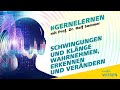 Schwingungen und Klänge wahrnehmen, erkennen und verändern | #gernelernen mit MDR Wissen | MDR+