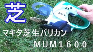 【マキタ芝生バリカンMUM1600】を使って芝を刈る作業や手入れを紹介
