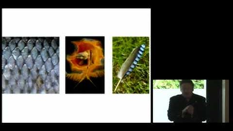 Kyoto University, Evolang IX Kyoto | The 9th Evolution of Language Conference, Russell Gray