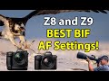 Nikon Z8 &amp; Z9: BEST Bird-In-Flight Autofocus Settings