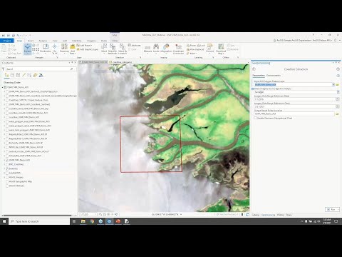 Automated Workflows and Machine Learning Techniques for Coastline Extraction