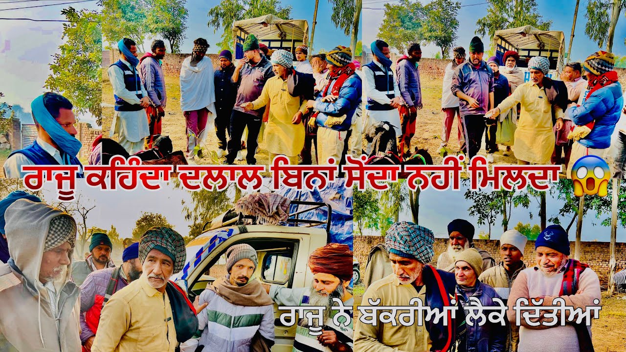 ਰਾਜੂ ਦੇ ਤੂਫ਼ਾਨੀ ਸੋਂਦੇ ਲੌਗੋਵਾਲ ਬੱਕਰਾ ਮੰਡੀ ਤੇ ਬੱਕਰੀਆਂ ਲੈਕੇ ਦਿੱਤੀਆਂ 😱
