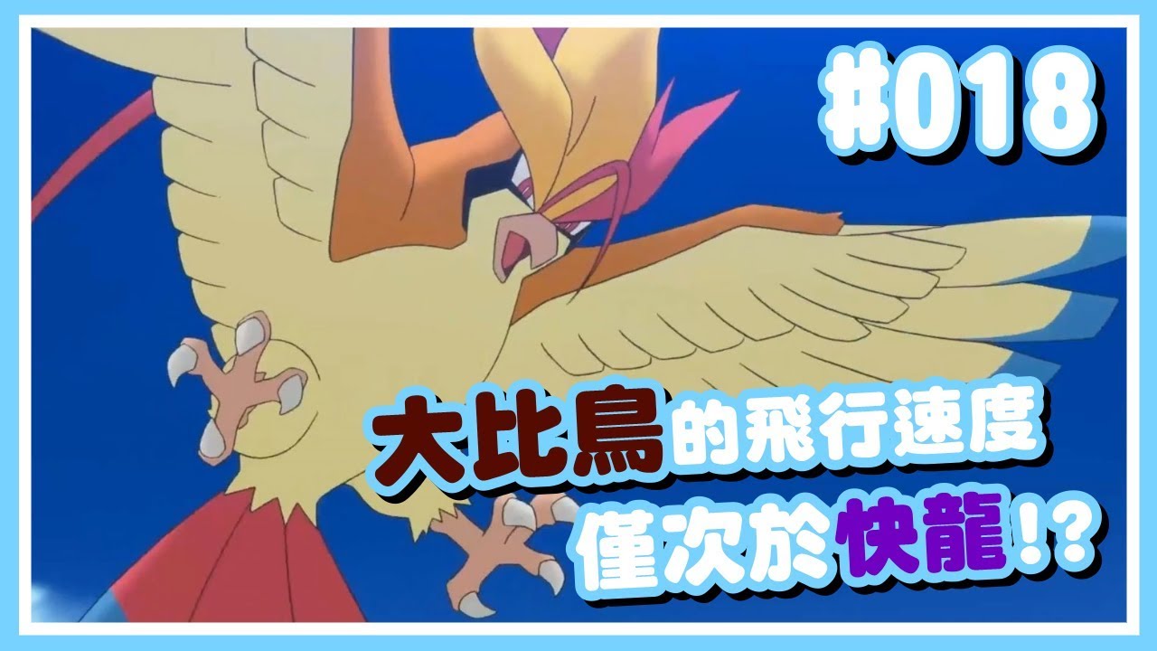 寶可夢|#018 大比鳥(比雕)的飛行速度僅次於快龍!?【Poke夢+】 - YouTube
