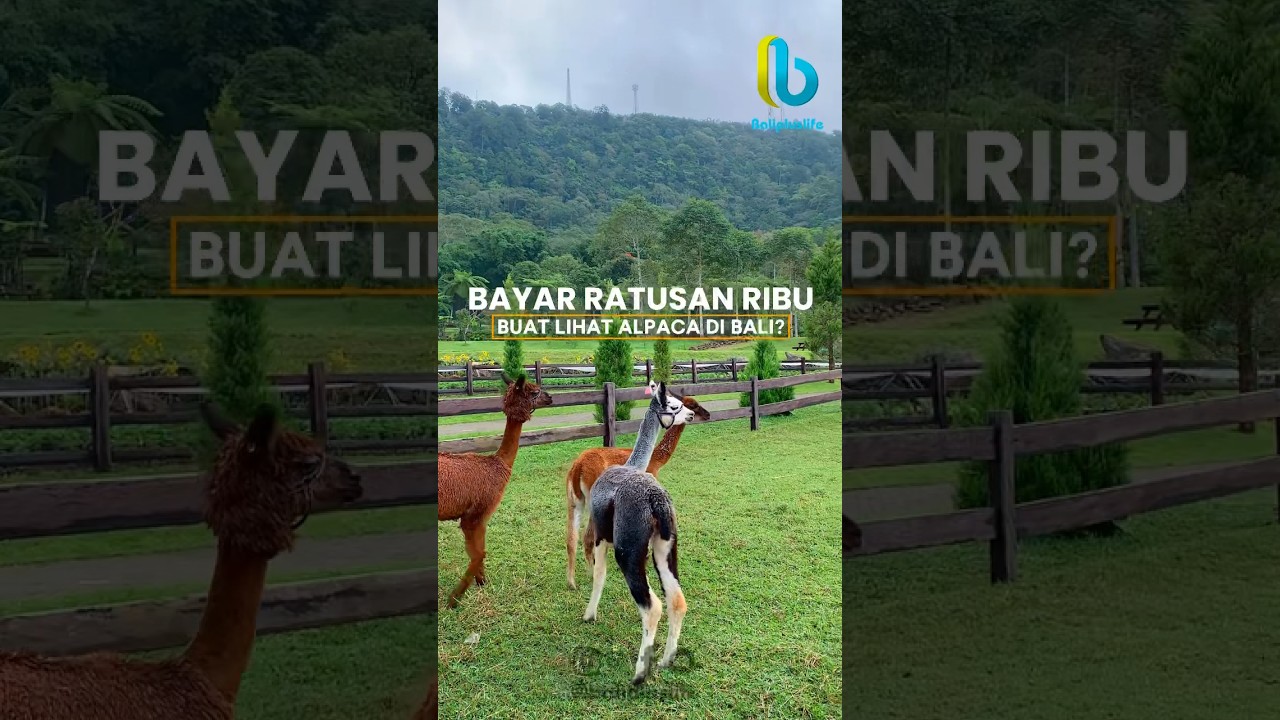 Explore Bali Farm House 😍