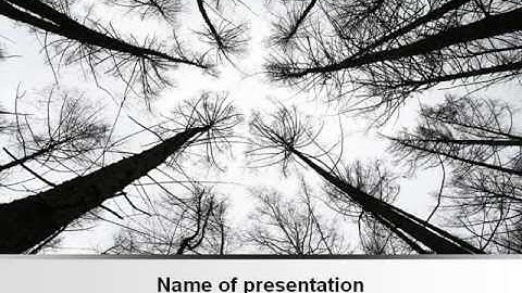 Winter Trees PowerPoint Template by PoweredTemplate.com