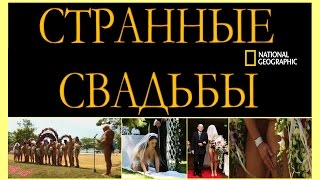 Странные Свадьбы. National Geographic (HD) Странные Свадьбы. National Geographic (HD)