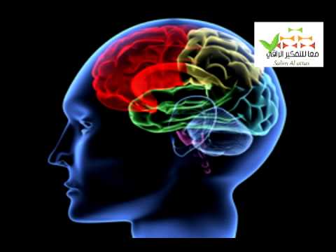 بوصلة التفكير الرباعي سالم العطاس