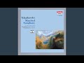 Miniature de la vidéo de la chanson Manfred Symphony, Op. 58: Iv. Allegro Con Fuoco