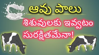 Is it safe to feed cow milk for a month's baby| శిశువులకు ఆవు పాలు ఇవ్వడం సురక్షితమేనా! అమ్మచిట్కాలు