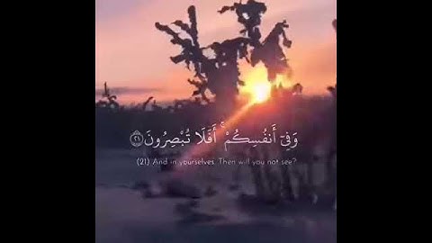 تلاوة رائعه لآيات من سورة الذاريات |حالات حالات واتس آب  | قرآن | Quran status