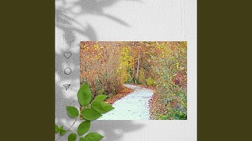 Magical Backdrops for Resting Easy