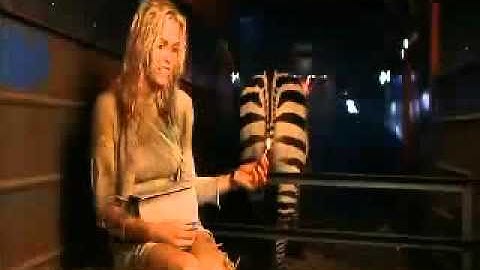 zebra-fart.flv