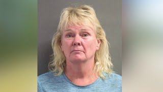 Florida woman accused of roadway wasp spray attack