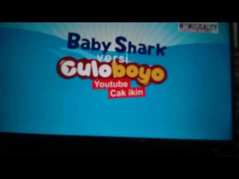 BABY SHARK VERSI CULO BOYO