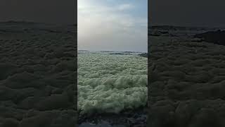 Green sea foam everywhere 😱 🤢