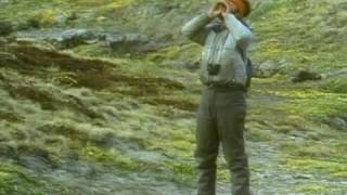 30 The Mysterious White Wolf    Full Documentary with subtitles