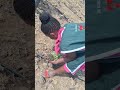 Guhinga Inyanya Nibyiza 2025 Tomato Okulima Enyanyaa Guhinga Inyanya Nibyiza 2025 Tomato Okulima Enyanyaa