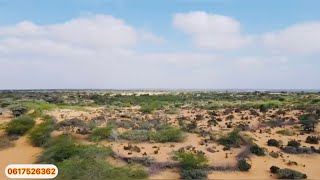 Fursad Weeyn 100 Boos Oo Katirsan Dagmada Hilwaa Oo Lagu Xaraashaayo Boos Walbo 1500