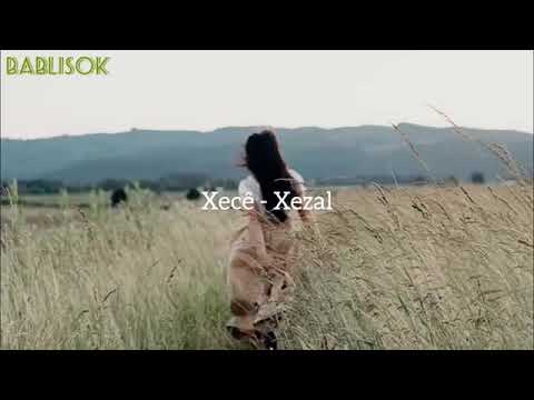 Xecê/ Xezalê (Türkçe Çeviri)