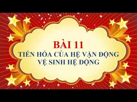 Video Sinh học lớp 8 - Bài 11 - Tiến hóa của hệ vận động ,... - youtube