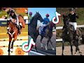 The best horse tiktok compilation 125