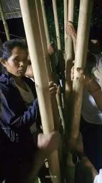 MENUMBUK PADI DENGAN  SUARA MERDU