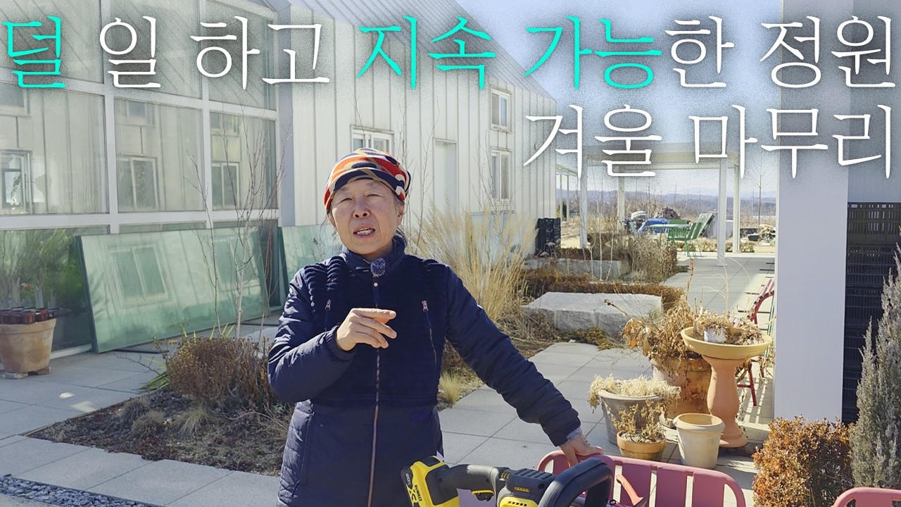 3월까지 이거 안 지키면 침엽수 죽을 수도 I 전정을 꼭 해야할까? I 봄준비 지금부터 하는법