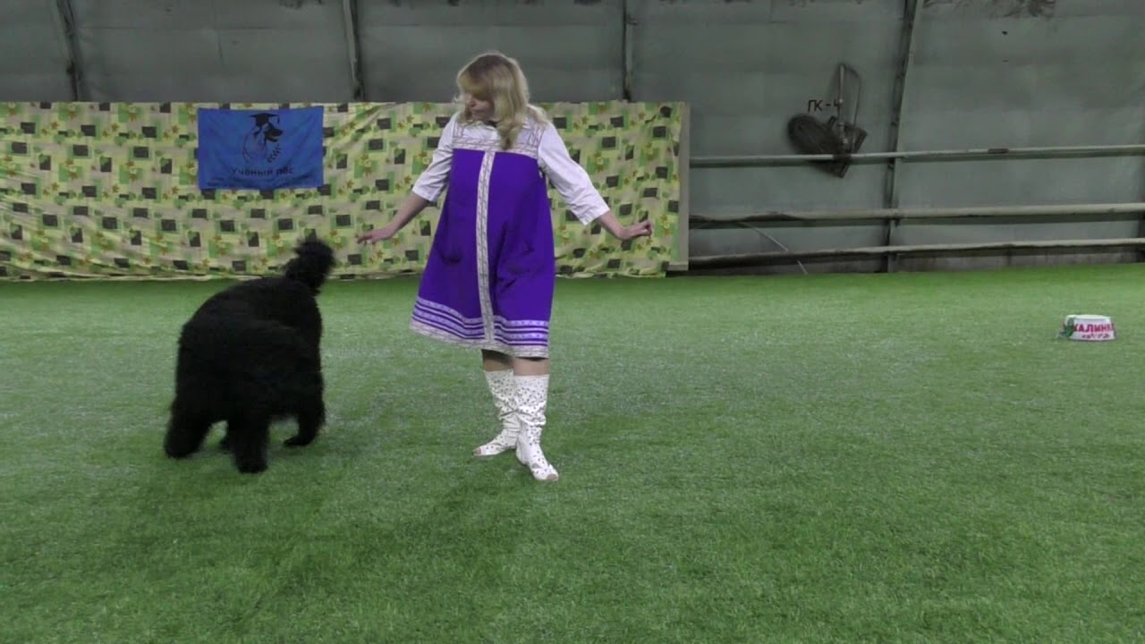 13 Кожина Ольга и СПАРК ГАЛАС ЛИОН БЛЭК КИНГ - YouTube