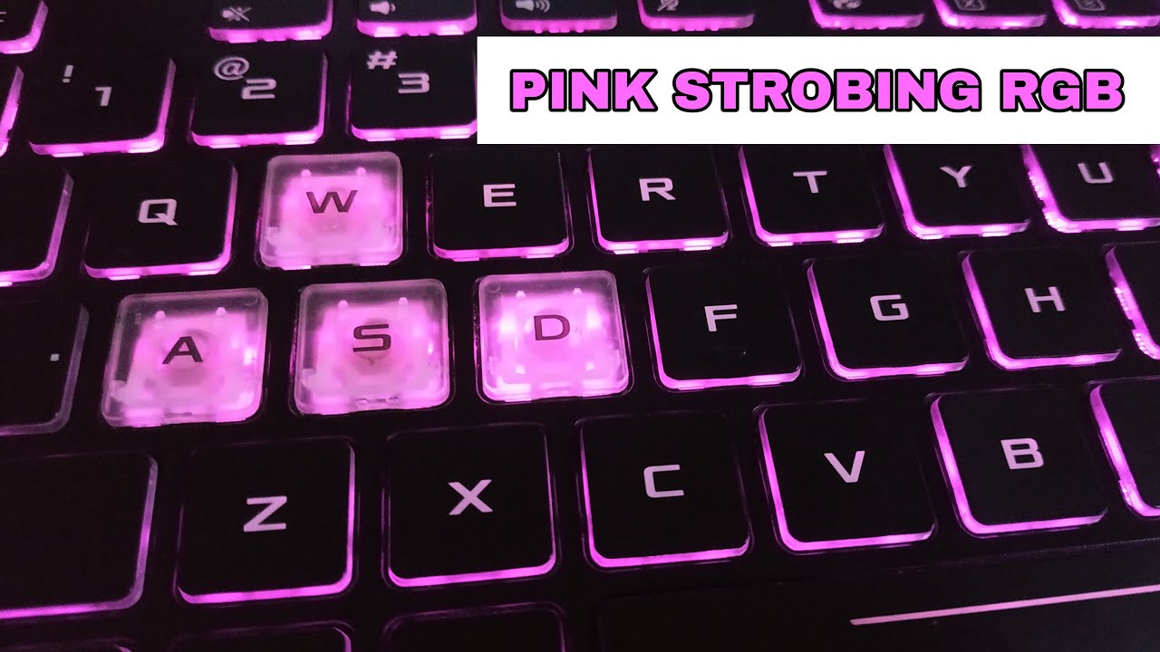 PINK STROBING KELAP KELIP LAMPU RGB PADA KEYBOARD YouTube